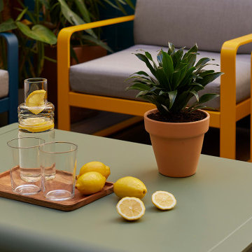 Colorful Terrace