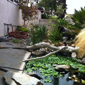 Front Yard Coy Pond