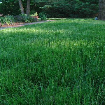 Residential Lawn - Wilmington, DE