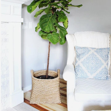 Carpet, Rug, and Upholstery Cleaning Services