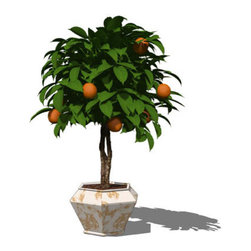 Landscape - Outdoor Products