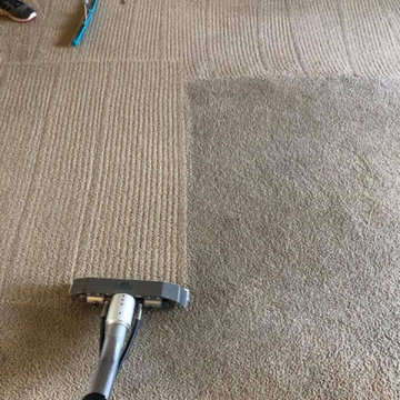 Carpet Cleaning Results