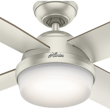 Hunter 59450 Dempsey Damp - 52" Ceiling Fan with Light Kit