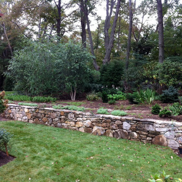 Birch Tree Garden