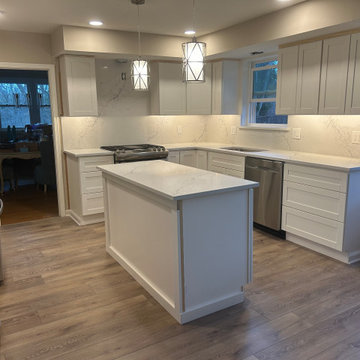 Modern Kitchen Renovation