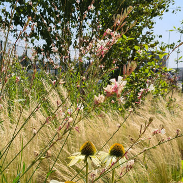 De bleu et d'or - Jardin