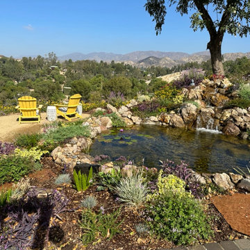 Sunland Recreation Pond & Landscape