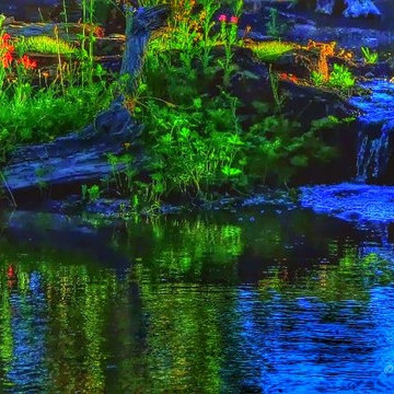 Stream in a garden landscape