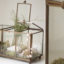 terrariums