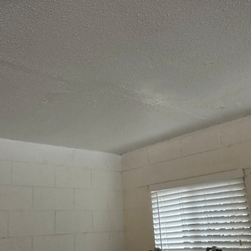 Garage Ceiling Repair