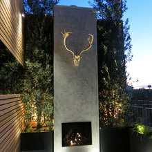 Back of garden