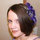 Michelle Hollenbeck