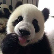 Barb Sabata's photo