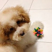 Sanji Tee's photo