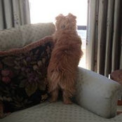 Roobee Wetter's photo