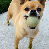 Heidi Bughi's photo
