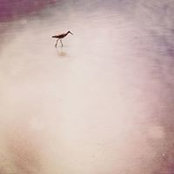 Linda Vuong's photo