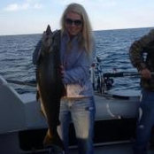 Photo de Bryn Cooper