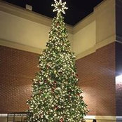 Anna Milone's photo