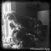 Michelle Ladd's photo