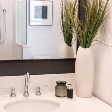 Andersonville Full Home Renovation