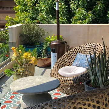 Interior Plantscapes & Design