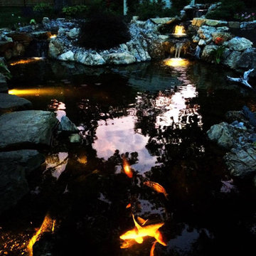 20'x25' Ecosystem pond with wetland filter