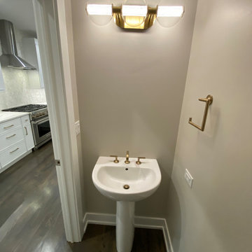 Lincoln Park Elegant full home renovation