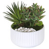 Succulents Arrangement With White Rocks, White Pot