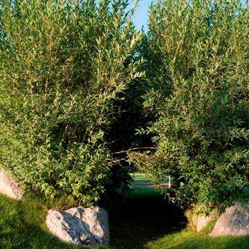 Bozeman Natural Playground