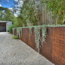 Landscape Ideas