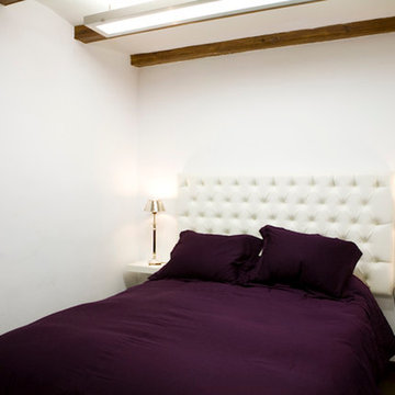Barcelona classical apartment remodeling