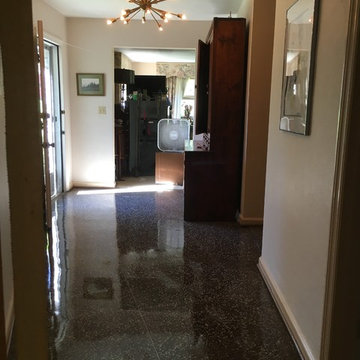 Polished Terrazzo Floor