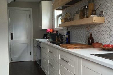 Mid-sized transitional galley vinyl floor enclosed kitchen photo in Other with a single-bowl sink, shaker cabinets, white cabinets, laminate countertops, white backsplash, porcelain backsplash, paneled appliances and no island