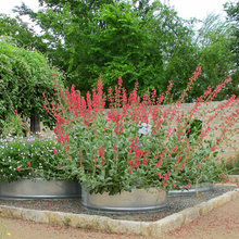 Garden Wish List