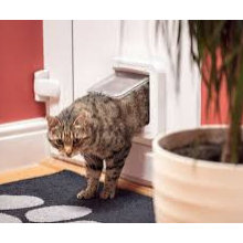 Cats Products