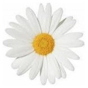 Laura Uhlich's photo