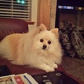 Cindy Kennedy's photo