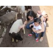 Adriana Abad's photo