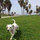 roxy_mcmahan