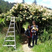 Ambrita Nand's photo