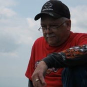 Donald Adams's photo