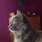 Foto von Jeanne Kimber