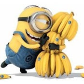 Sandy Nguyen's photo