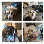 Sandi De Long's photo