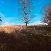 Tonya Milligan's photo