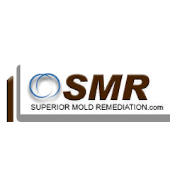 Superior Mold Remediation
