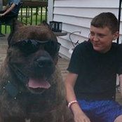 Andrea N David Ginter's photo
