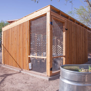 Chicken Coop