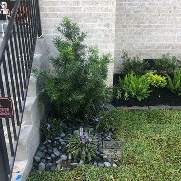 Pool Refurbish & New Landscape